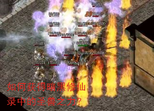 如何获得暗黑修仙录中的圣兽之力? 如何获得暗黑修仙录中的圣兽之力?