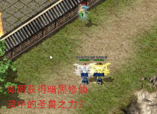 如何获得暗黑修仙录中的圣兽之力? 如何获得暗黑修仙录中的圣兽之力?