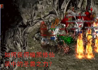 如何获得暗黑修仙录中的圣兽之力? 如何获得暗黑修仙录中的圣兽之力?