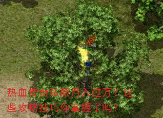 热血传奇私服月入过万?这些攻略技巧你掌握了吗? 热血传奇私服月入过万?这些攻略技巧你掌握了吗?