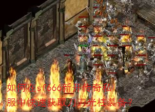 �����sf666�¿�����˽���п��ٻ�ȡ��������װ����