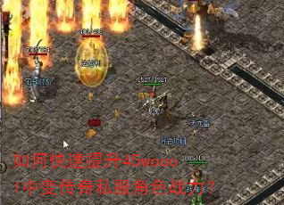 ��ο�������45woool�б䴫��˽����ɫս����