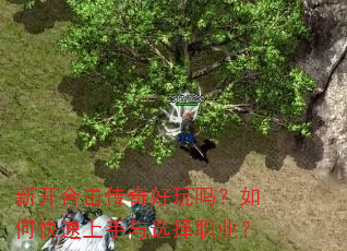 新开合击传奇好玩吗?如何快速上手与选择职业? 新开合击传奇好玩吗?如何快速上手与选择职业?