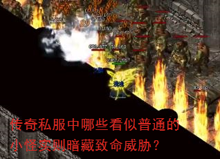 传奇私服中哪些看似普通的小怪实则暗藏致命威胁? 传奇私服中哪些看似普通的小怪实则暗藏致命威胁?