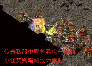 传奇私服中哪些看似普通的小怪实则暗藏致命威胁? 传奇私服中哪些看似普通的小怪实则暗藏致命威胁?