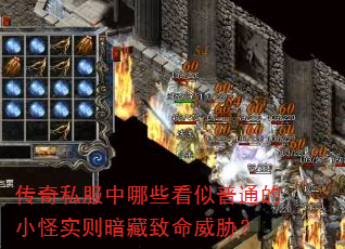 传奇私服中哪些看似普通的小怪实则暗藏致命威胁? 传奇私服中哪些看似普通的小怪实则暗藏致命威胁?