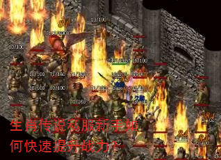 生肖传说私服新手如何快速提升战力? 生肖传说私服新手如何快速提升战力?