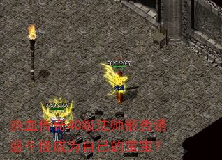 热血传奇40级法师能否诱惑牛怪成为自己的宝宝? 热血传奇40级法师能否诱惑牛怪成为自己的宝宝?