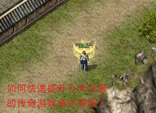 如何快速提升今天开服的传奇游戏角色等级? 如何快速提升今天开服的传奇游戏角色等级?