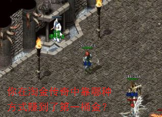 你在淘金传奇中靠哪种方式赚到了第一桶金? 你在淘金传奇中靠哪种方式赚到了第一桶金?