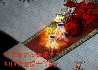 ��ʧ���Ŵ���汾����ο��������ȼ���