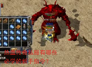 热血传奇私服有哪些必学的新手指令? 热血传奇私服有哪些必学的新手指令?