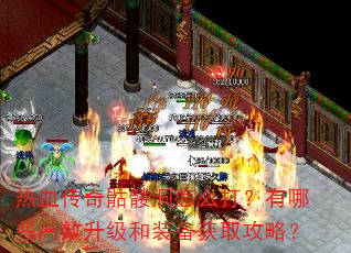 ��Ѫ�������ö���ô������Щ��Ч������װ����ȡ���ԣ�