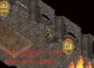 如何快速提升王子合击传奇中的角色等级? 如何快速提升王子合击传奇中的角色等级?