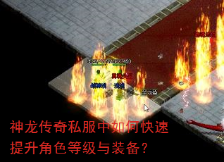 神龙传奇私服中如何快速提升角色等级与装备? 神龙传奇私服中如何快速提升角色等级与装备?