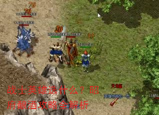 战士英雄选什么?昭府酿酒攻略全解析 战士英雄选什么?昭府酿酒攻略全解析