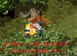 冰雪服战士如何快速提升战力?法师技能搭配有哪些技巧? 冰雪服战士如何快速提升战力?法师技能搭配有哪些技巧?