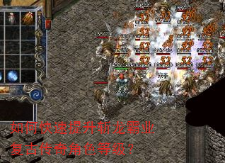 如何快速提升斩龙霸业复古传奇角色等级? 如何快速提升斩龙霸业复古传奇角色等级?
