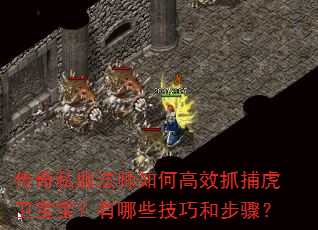 传奇私服法师如何高效抓捕虎卫宝宝?有哪些技巧和步骤? 传奇私服法师如何高效抓捕虎卫宝宝?有哪些技巧和步骤?