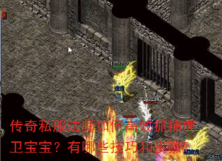 传奇私服法师如何高效抓捕虎卫宝宝?有哪些技巧和步骤? 传奇私服法师如何高效抓捕虎卫宝宝?有哪些技巧和步骤?