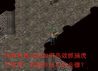 传奇私服法师如何高效抓捕虎卫宝宝?有哪些技巧和步骤? 传奇私服法师如何高效抓捕虎卫宝宝?有哪些技巧和步骤?