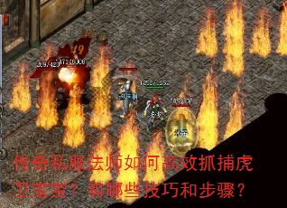 传奇私服法师如何高效抓捕虎卫宝宝?有哪些技巧和步骤? 传奇私服法师如何高效抓捕虎卫宝宝?有哪些技巧和步骤?