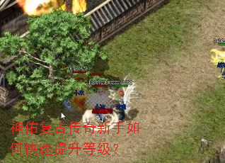 神佑复古传奇新手如何快速提升等级? 神佑复古传奇新手如何快速提升等级?