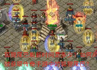 狐狸尾巴刷新时间是多少?如何高效获取传奇手游中的狐狸尾巴? 狐狸尾巴刷新时间是多少?如何高效获取传奇手游中的狐狸尾巴?