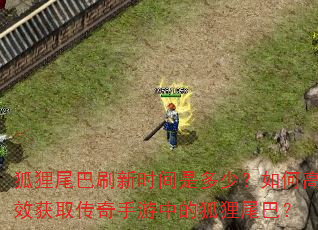 狐狸尾巴刷新时间是多少?如何高效获取传奇手游中的狐狸尾巴? 狐狸尾巴刷新时间是多少?如何高效获取传奇手游中的狐狸尾巴?