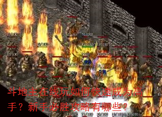 斗地主在线玩如何快速成为高手?新手必胜攻略有哪些? 斗地主在线玩如何快速成为高手?新手必胜攻略有哪些?
