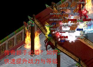 传奇新手必看?如何快速提升战力与等级 传奇新手必看?如何快速提升战力与等级