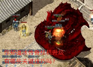 你知道冰传奇挂机升级有哪些关键技巧吗? 你知道冰传奇挂机升级有哪些关键技巧吗?