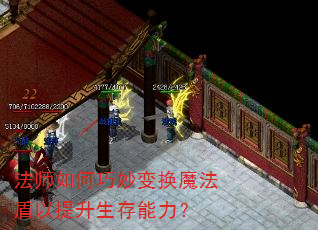 法师如何巧妙变换魔法盾以提升生存能力? 法师如何巧妙变换魔法盾以提升生存能力?