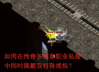 如何在传奇多倍单职业私服中同时佩戴双特殊戒指? 如何在传奇多倍单职业私服中同时佩戴双特殊戒指?
