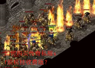 如何购买传奇私服sf脱机挂收费版? 如何购买传奇私服sf脱机挂收费版?