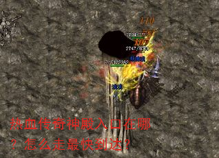 ��Ѫ�������������ģ���ô����쵽�