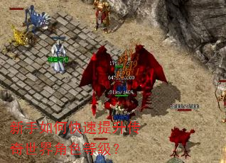 新手如何快速提升传奇世界角色等级? 新手如何快速提升传奇世界角色等级?