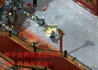 新手如何快速提升传奇世界角色等级? 新手如何快速提升传奇世界角色等级?