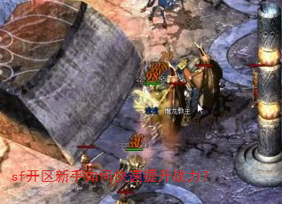sf����������ο�������ս����