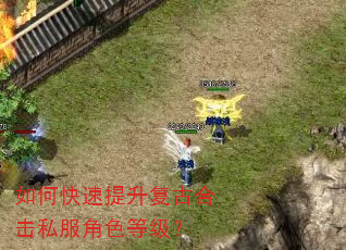 如何快速提升复古合击私服角色等级? 如何快速提升复古合击私服角色等级?