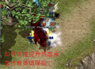 如何快速提升热血合击传奇英雄等级? 如何快速提升热血合击传奇英雄等级?