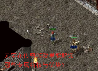 元宝在传奇游戏里能解锁哪些专属特权与优势? 元宝在传奇游戏里能解锁哪些专属特权与优势?