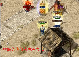 楔蛾的挑战究竟有多难? 楔蛾的挑战究竟有多难?
