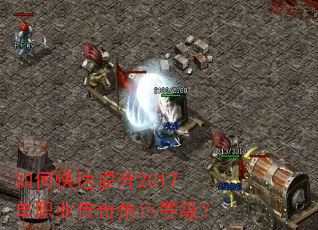 如何快速提升2017单职业传奇角色等级? 如何快速提升2017单职业传奇角色等级?