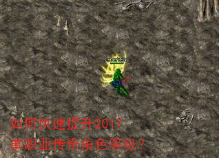 如何快速提升2017单职业传奇角色等级? 如何快速提升2017单职业传奇角色等级?