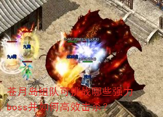 苍月岛组队可挑战哪些强力boss并如何高效击杀? 苍月岛组队可挑战哪些强力boss并如何高效击杀?