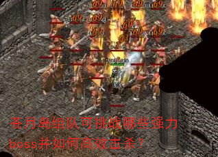 苍月岛组队可挑战哪些强力boss并如何高效击杀? 苍月岛组队可挑战哪些强力boss并如何高效击杀?
