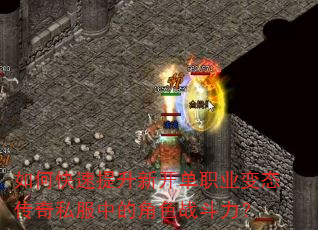 如何快速提升新开单职业变态传奇私服中的角色战斗力? 如何快速提升新开单职业变态传奇私服中的角色战斗力?