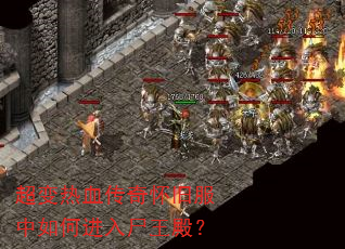������Ѫ���滳�ɷ�����ν���ʬ���