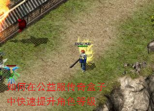如何在公益服传奇盒子中快速提升角色等级 如何在公益服传奇盒子中快速提升角色等级